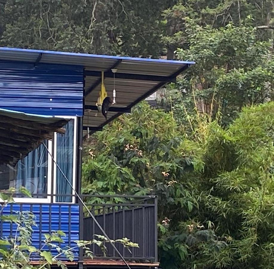 Shan Hotel 纳拉坦尼亚 外观 照片
